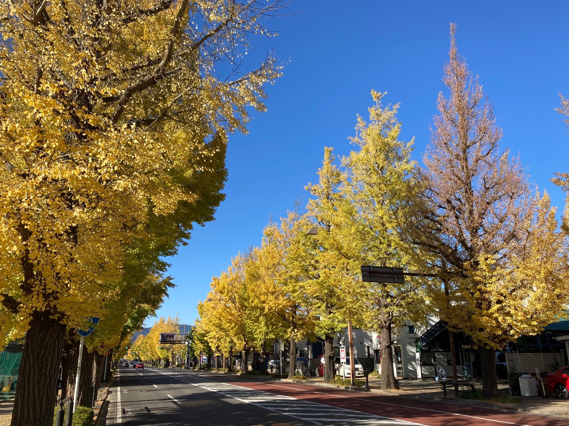 🏯 하치오지 성터 (八王子城跡) 이미지 6